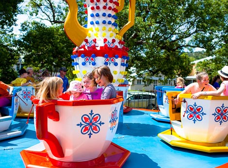 Cup and Saucer ride for hire Brisbane