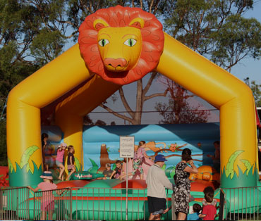 Lion Safari for Hire Brisbane