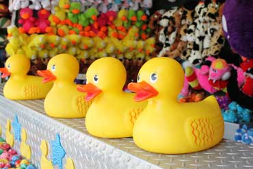 Lucky Ducks Carnival Game For Hire Brisbane